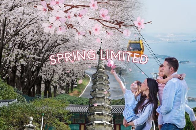 spring-limited-hadong-cherry-blossom-flyway-cable-car-temple_1